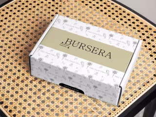 Bursera