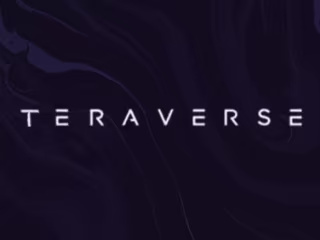 Teraverse Landing Page Design