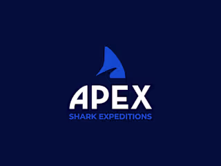 Apex Shark Expeditions: A Bold Rebrand for a Bold Mission