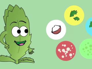 leaf character - Sound Design - Audio Mixing