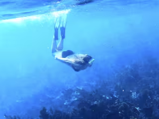 Diving off the Florida Keys • Adventure Content