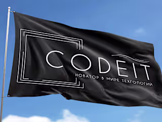 CodeIT Brand Book on Behance