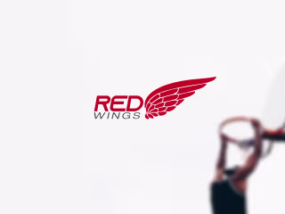 Red Wings | Brand Identity Design