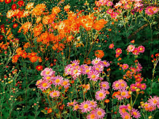 Sustainability Blog Posts