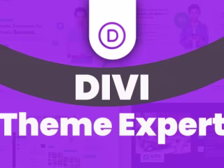 I will build wordpress website using divi theme and divi builder