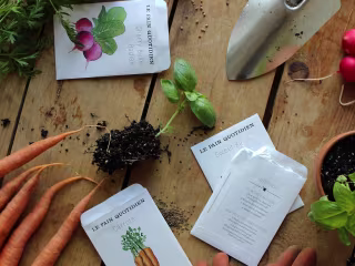 Le Pain Quotidien — printed collateral