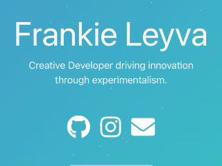 Developer Portfolio
