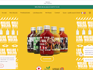 Website Migration from Squarespace to Shopify