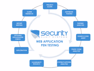 Web Application Security Assessment