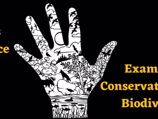 Art Meets Science: Examining Conservation & Biodiversity. — plan