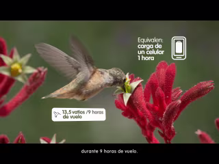 EPM (Hidroituango) - Santander - Nature 