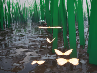Wings Of Hope