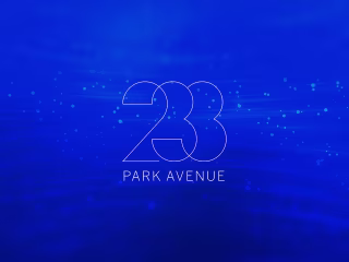 233 Logo Moodboard