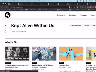 CMS customization with WordPress