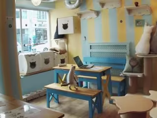 Chat Mallows Café: Where You Can Drink Coffee & Pet Cats