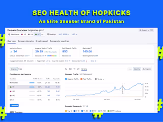 SEO Health of Hopkicks: An Elite Sneaker Brand