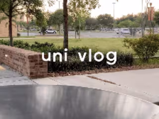 Instagram Reel(s)