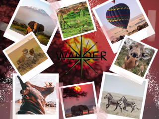Atychi Atelier on Instagram: “Wander.An app that helps you choo…