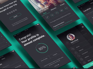 Tawseela Mobile App (2017)