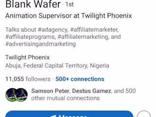 Blank Wafer Profile built from scratch t0 10k followers 