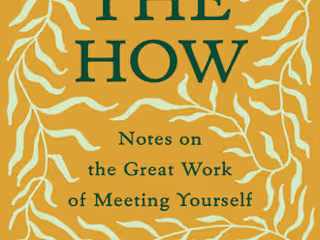 The How (Penguin Books)