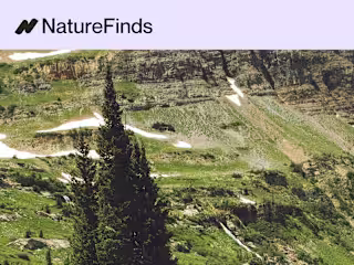 NatureFinds