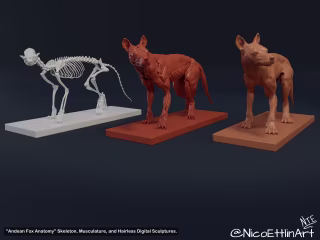 3D Sculptures Portfolio