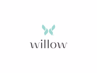 Willow Saves $380k with Salesforce Fractional Team 