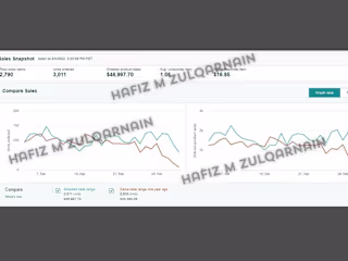 Expert PPC Campaign Management & Optimization for Amazon Sales