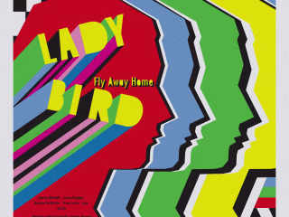 Lady Bird Poster Design