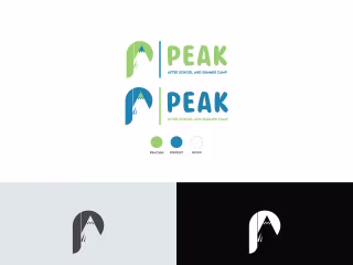 Peak Institute Logo | Behance