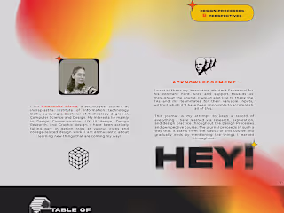 DPP Journal on Behance