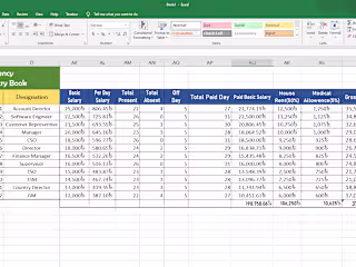 Salary Sheet Data Entry
