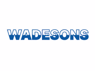 Redesigning Wadeson’s Website with Wix Studio