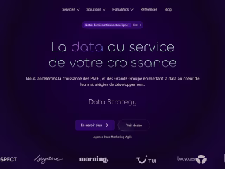 Data Hanalytics – La data au service de votre croissance