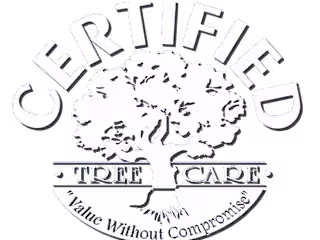 Certified Tree Care - Branding, Web Design & Email Marketing