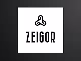 Zeigor - logo design