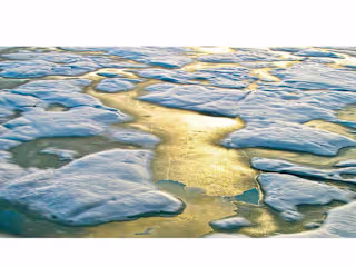 CLIMATE CHANGE