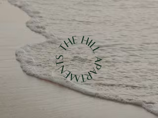 Brand Identity
