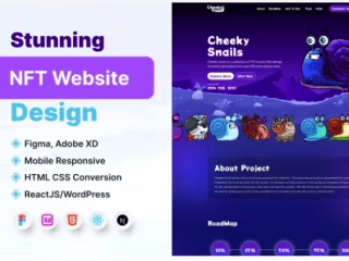 Web Developer / FULL STACK