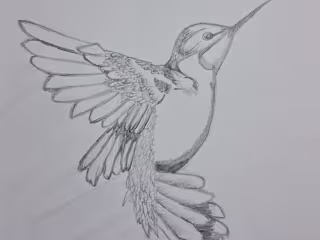 Sketch