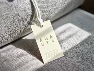 🌵Agavia: A Timeless and Modern Rebranding Transformation.