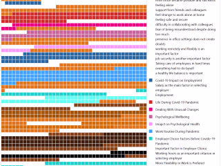Content Analysis using MAXQDA