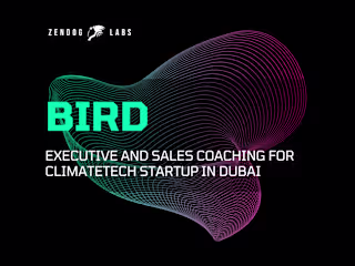 Building Bird Collaborative: Strategy Development and Team Coach