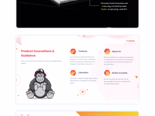 Burton - Website UI/UX Design 