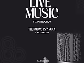 Live Music Showcase: A Post of Soulful Performances