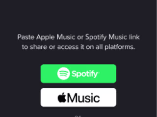 Lasso ( Music App) - Mobile App