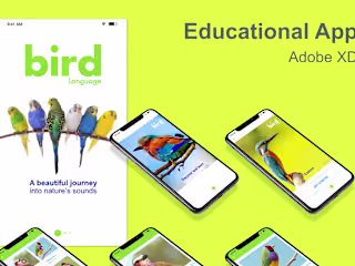 Bird Language