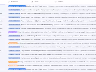 Virtual Assistant for a Busy Entrepreneur