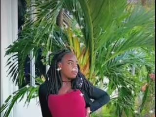 Stuck in a tree; Stay in my lane 💚🌴